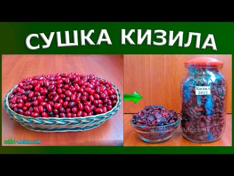 Как сделать кизил в домашних условиях Как сделать кизил в домашних условиях
