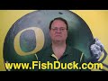 The Fish Report: Something New from "Dawg" Training