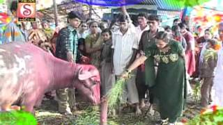 Ciycal City Re Bajar Motar Minavada Jay Dadi Maa Ne Vhala Dasama Rakesh Barot Lokdhun Gujarati