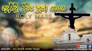 Morning Holy Mass -   08-06-2020