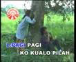apo nak buek jang apo nak buek jang