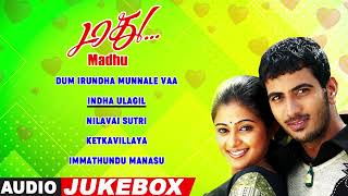 Madhu Audio Jukebox Madhu All Songs Jithan Ramesh Priyamani Vivek Ilaiyaraaja