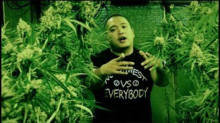Jeff Patron - Everything Green (Official Music Video)