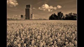 Watch John Denver Wild Flowers In A Mason Jar the Farm video