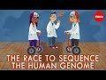 The race to sequence the human genome - Tien Nguyen