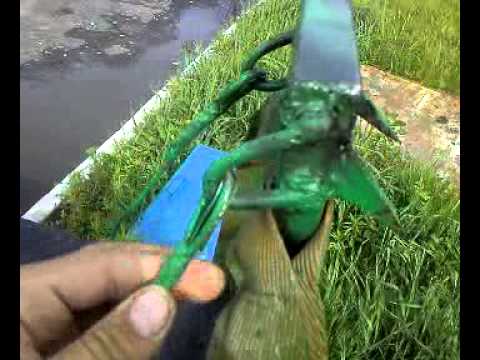 Как сделать засидку своими руками
