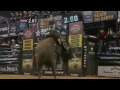 Ryan Dirteater 88.25 points on Uncle Carl