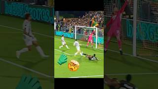 Di Gregorio Epic Save Venezia