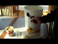 Making Creamed Honey