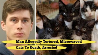 Us Man Allegedly Tortured, Microwaved Cats To Death, Arrested.