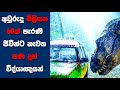 "ජුරාසික් පාර්ක් 1" Sinhala Movie Review | Ending Explained Sinhala