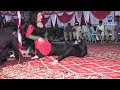 Papi Papi Papi Chlo|| Latest Mujra || Dansar Madam Nadia Khan&Madam Mahi|| ND Studio