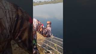 Hajar Ikan Pelak 5Kilo