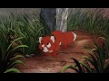 Online Movie The Fox and the Hound (1981) Watch Online