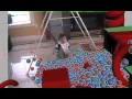 Silas with balls wireframe