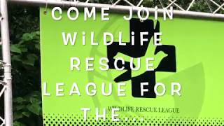 Wildlife Rescue League, 5K Fundraising Run (23 June 2019)