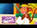 Chloes Closet - Monkey Business