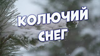 Сергей Одинцов - Колючий Снег