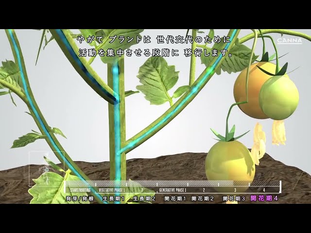 Watch (日本/Japanese) CANNA COCO on YouTube.