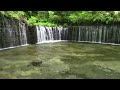 軽井沢・初夏の白糸の滝
