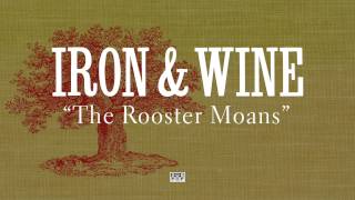Watch Iron  Wine The Rooster Moans video