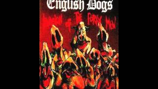 Watch English Dogs Blind Man video