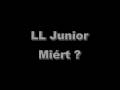 LL Junior - Miért