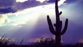 Watch Dan Fogelberg Tucson Arizona video