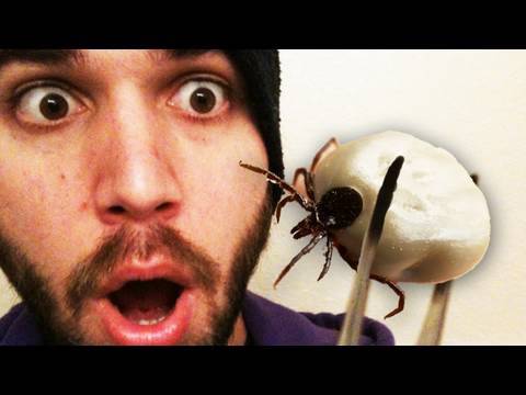 Worlds GROSSEST BUG!!!! (11.25.09 - Day 209)