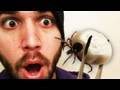 Worlds GROSSEST BUG!!!! (11.25.09 - Day 209) Video