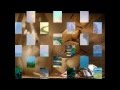 صور ابو ادم 01024325855 رقص فنون شعبيا صور ابو ادم 01024325855 رقص فنون شعبيا
