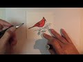 Masked Cardinal with Sponged Background Card