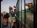 صور للعراق قبل وبعد دخول الجيش الامريكى