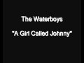 The Waterboys - A Girl Called Johnny [HQ Audio]