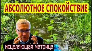 Матрица Гаряева. Все Тревоги Исчезли, Абсолютное Спокойствие