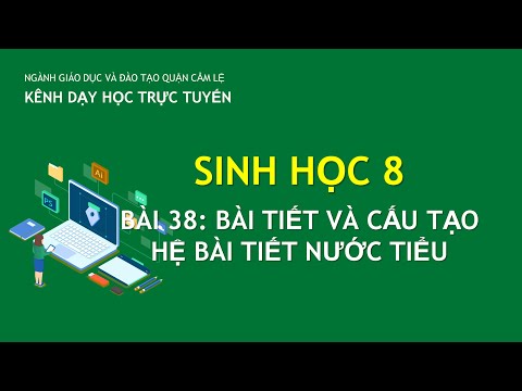 SINH HỌC 8 - BÀI 38: BÀI TIẾT VÀ CẤU TẠO HỆ BÀI TIẾT NƯỚC TIỂU | DAY HOC TRUC TUYEN CAM LE