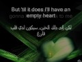 سلنديون بالعربى.