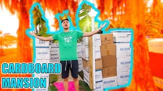 CARDBOARD BOX MANSION FORT (Hide and Seek)