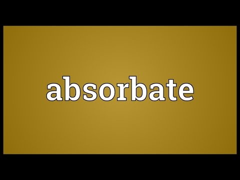 Header of Absorbate