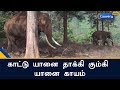 காட்டு யானை தாக்கி கும்கி யானை காயம் | Kumki elephant get injured by wild elephant attack