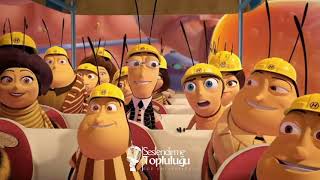 Arı Filmi Bee Movie Dublaj Çalışmamız