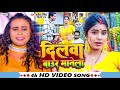 #Video | दिलवा बाउर मनेला | #Shilpi Raj | Dilwa Baur Manela | #Sarvesh Singh | Blast Video Song 2024