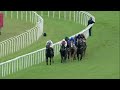 stakes