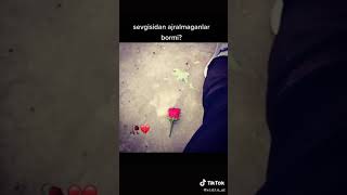 Sevgidan Ayrilganlar Bormi