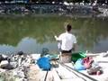 Hola esta es una pesca de carpines realizada en los puestos del rio Manzanares a su paso por Madrid.