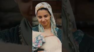 Shi̇pledi̇m Gi̇tti̇gönül Daği