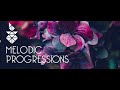 Melodic Progressions Show 312 (With Absorb Projects) 09.09.2022