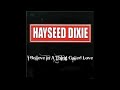 Hayseed Dixie - I Believe In A Thing Called Love