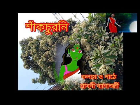 ভূত চতুর্দশীতে শাঁকচুরনি //কলমে শ্রাবণী ব্যানার্জ্জী // ভূত চতুর্দশীতে শাঁকচুরনি //কলমে শ্রাবণী ব্যানার্জ্জী //
