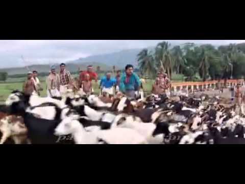 Bangaram Egire Chilakamma YouTube